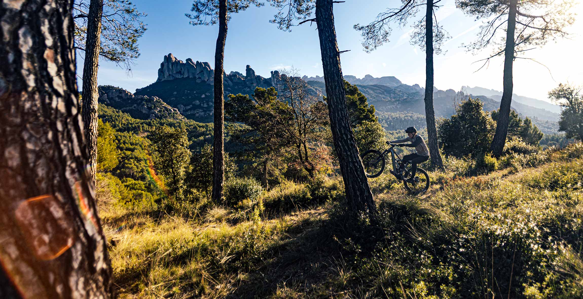 YT Industries | Mountain Bikes | Live Uncaged